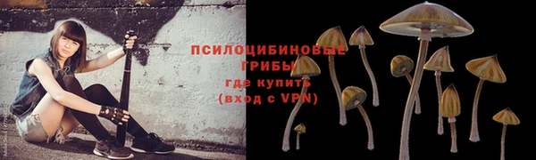 хмурый Алексеевка