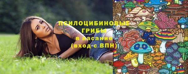 соль ск Алексин