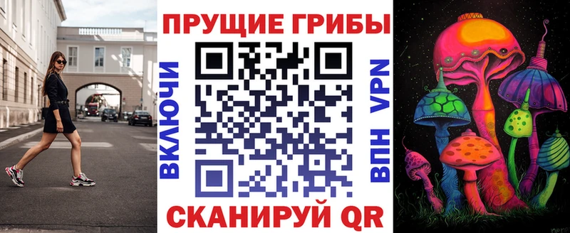 Псилоцибиновые грибы Cubensis  Ступино 